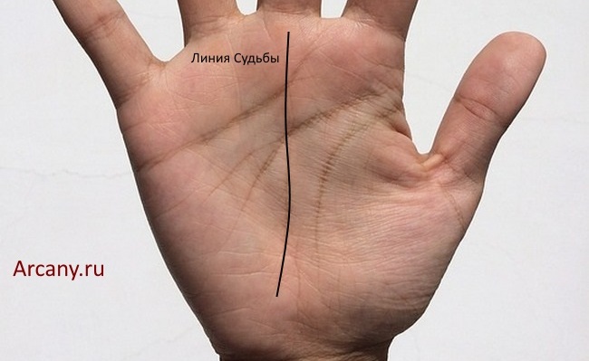 линия-судьбы-где-находится.jpg