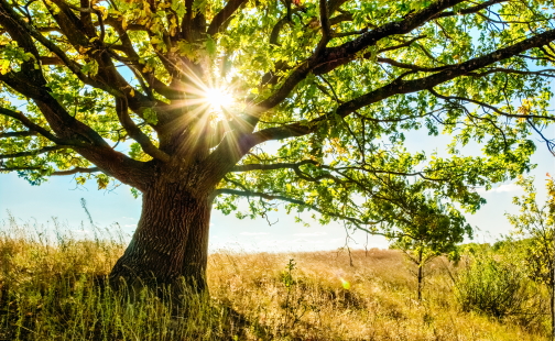 Заметки о временах года