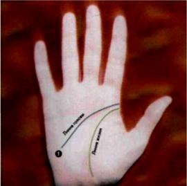 профессия по линиям