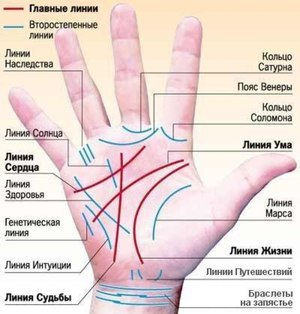 Hvordan er linjene på håndflaten? Hvor er linjen på den menneskelige håndflaten?