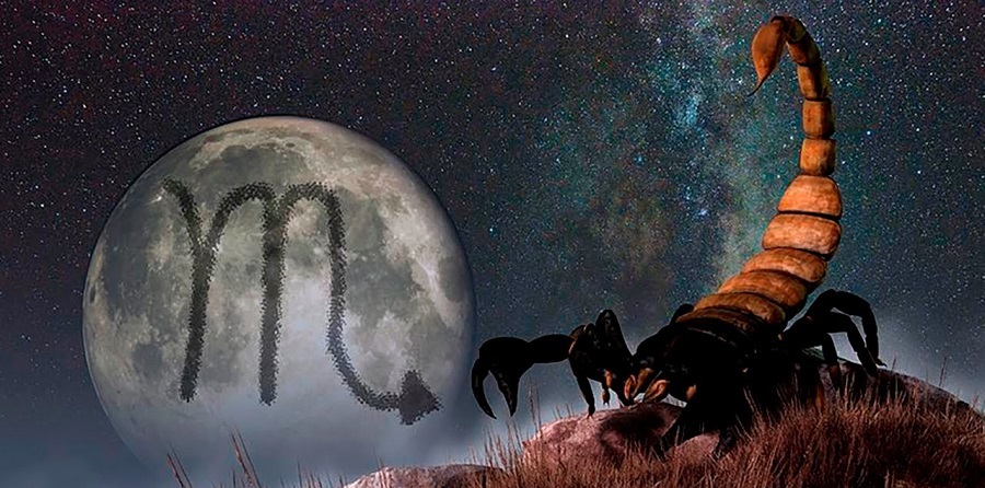 знак скорпиона