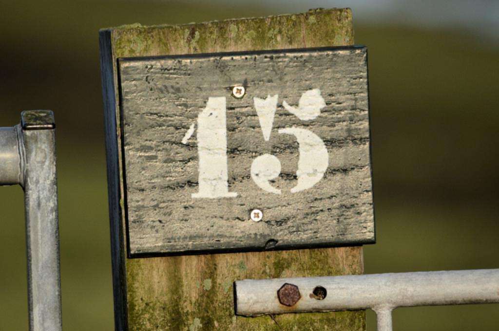 Счастливое число Телец, 15