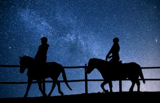 Венера в Тельце в 9 доме