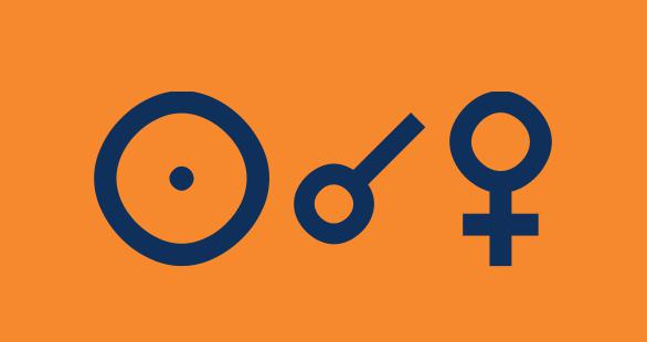 Солнце соединяется с Венерой.