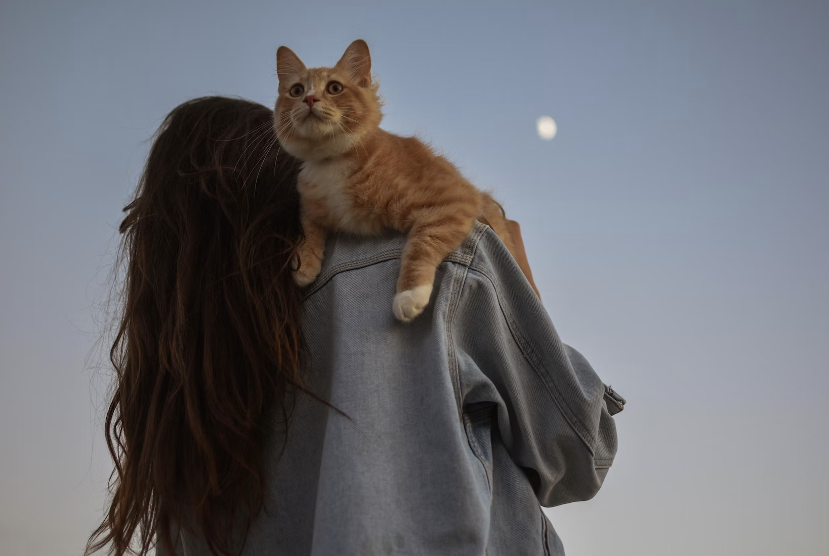 Если состричь волосы на растущей Луне, то они отрастут намного быстрее. Фото © Anna Tello / Unsplash