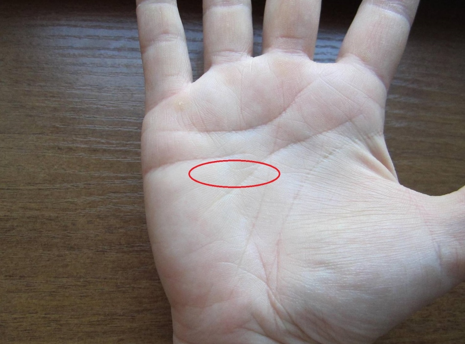 Раздвоение линии ума по середине указывает на депрессивных личностей