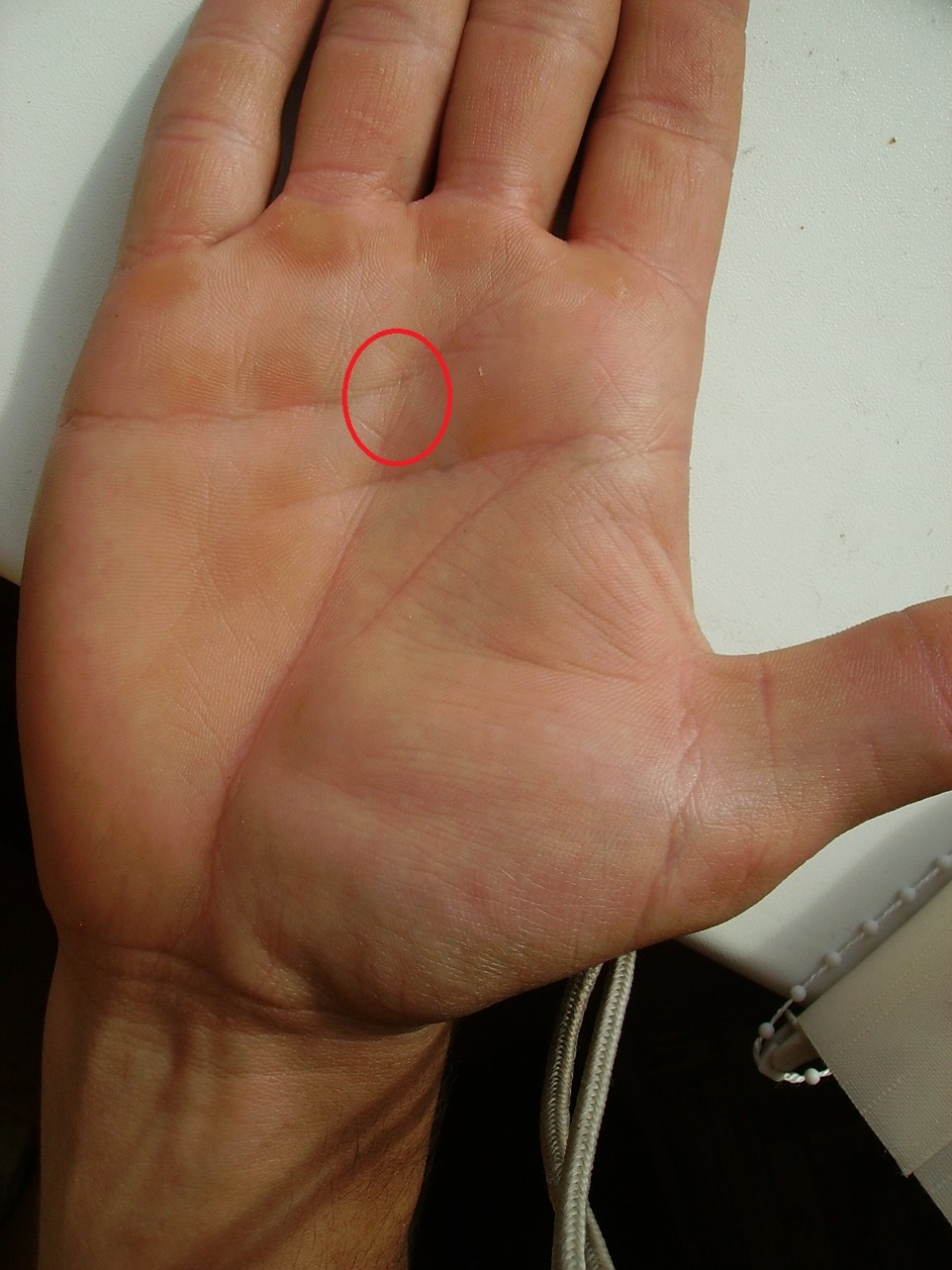 Связь между линией сердца и линией судьбы делает из них отличных стратегов