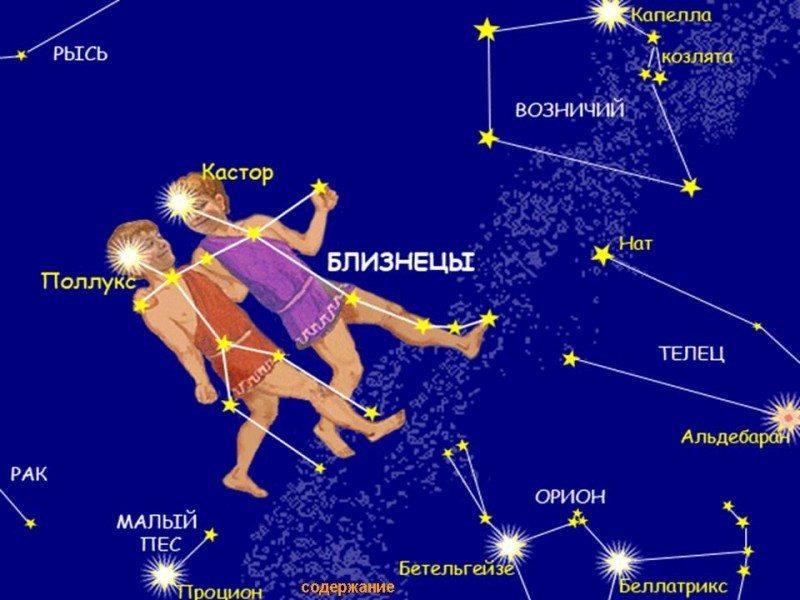 Эрогенные зоны близнецов