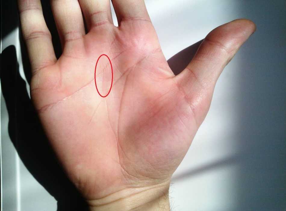 Линия судьбы пересекает линию сердца – признак упрямства