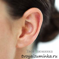 Как определить характер ушей