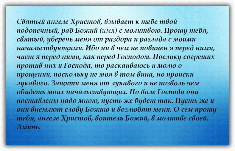 иметь хорошие отношения с руководством