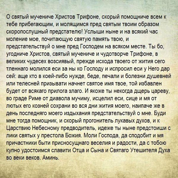 молитва Святому Трифону молитва Святому Трифону