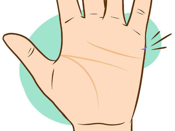 Образ линии интуиции