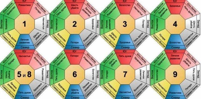элемент по дате рождения элемент по дате рождения