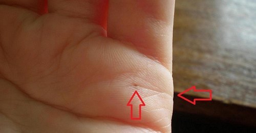 Где граница брака Где граница брака