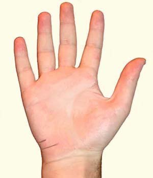 Путешествия и путешествия Путешествия и путешествия