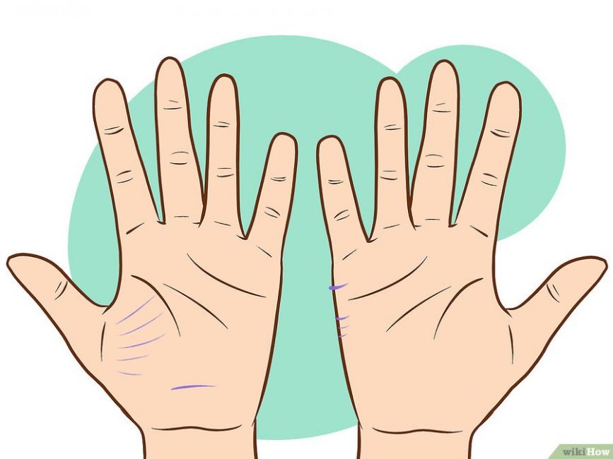 Нужные черточки на рисунке помечены фиолетовым. Руки