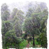 Заметки о дожде