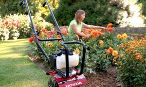 cvety-i-sadovaya-tekhnika