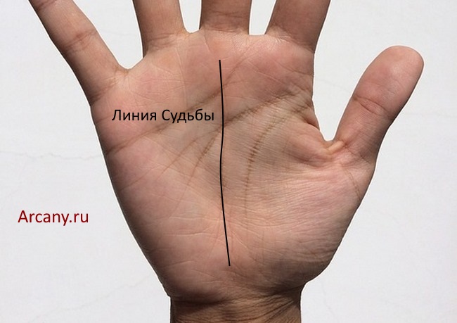 Значение пересечения линии жизни и линии судьбы в хиромантии