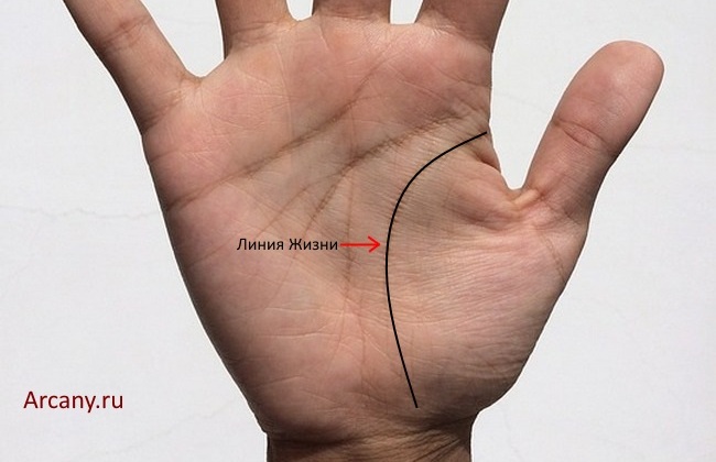 Значение пересечения линии жизни и линии судьбы в хиромантии