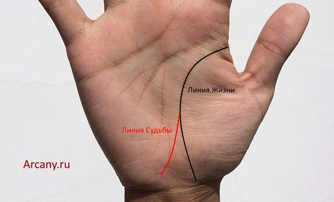 Значение пересечения линии жизни и линии судьбы в хиромантии