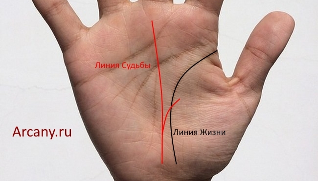 Значение пересечения линии жизни и линии судьбы в хиромантии