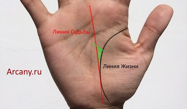 Значение пересечения линии жизни и линии судьбы в хиромантии
