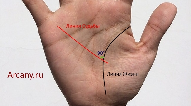 Значение пересечения линии жизни и линии судьбы в хиромантии