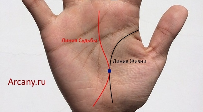 Значение пересечения линии жизни и линии судьбы в хиромантии