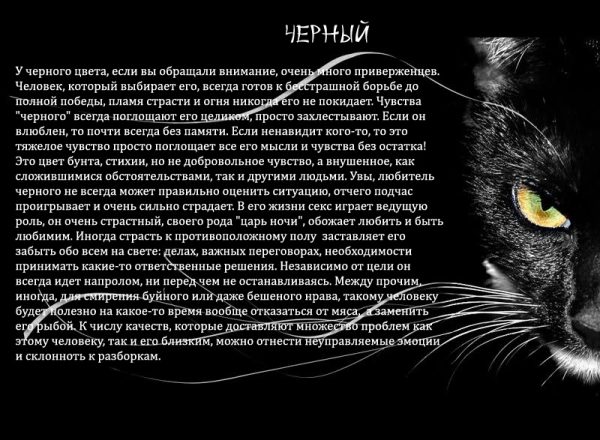 Характерные черты человека, выбирающего черный цвет