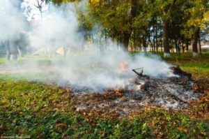 Дым от костра падает на землю Дым от костра падает на землю