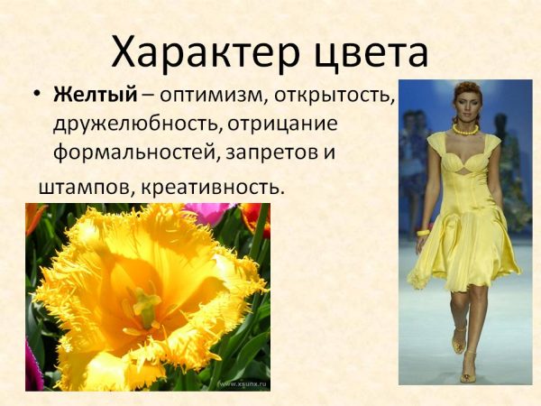 Желтый – символ оптимизма и открытости