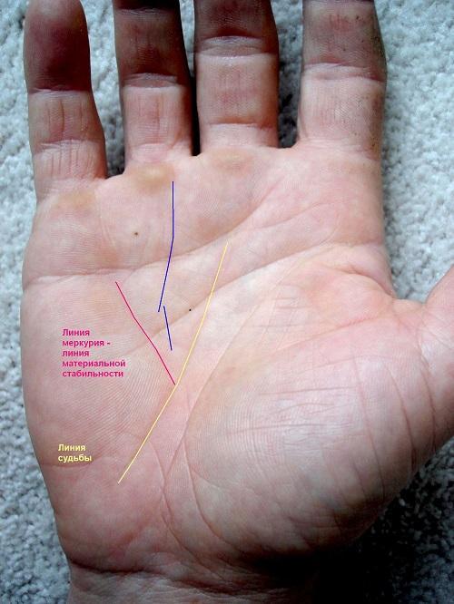 Линия карьеры на ладони: хиромантия, значение, расшифровка