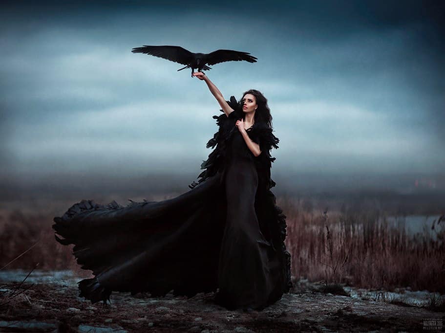 Девушка в черном платье с вороном в поле Прозерпина в восьмом доме женщины