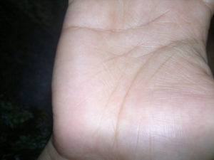 Короткая линия ума Короткая линия ума