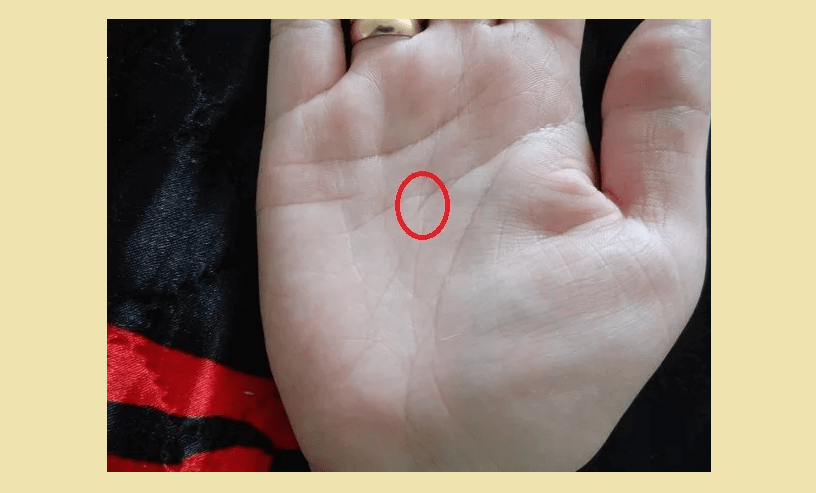 Разветвленная линия ума Разветвленная линия ума