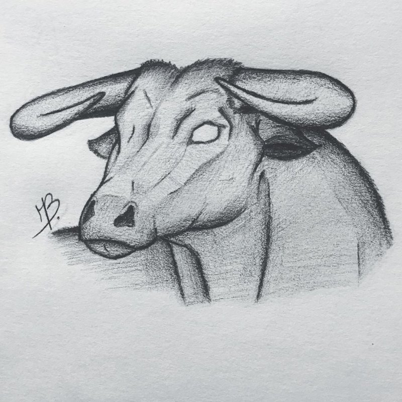 Тату знак зодиака Телец