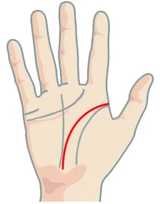 Значение если линии головы (ума) и жизни сливаются в самом начале при гадании на руке