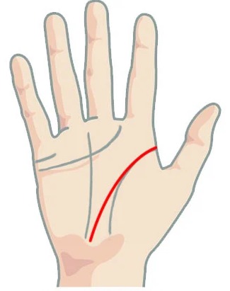 Значение если линии головы (ума) и жизни сливаются в определенном отрезке при гадании на руке