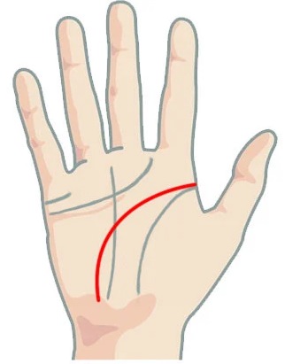 Значение если линия головы (ума) идет резко вниз при гадании на руке