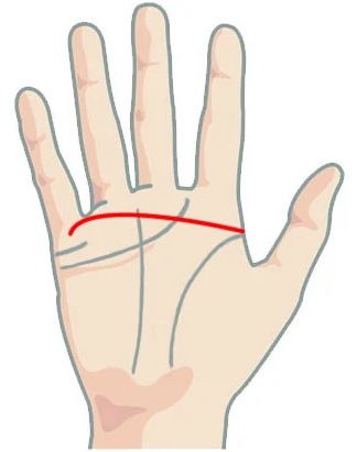 Значение если в конце линии головы просматривается изгиб при гадании на руке