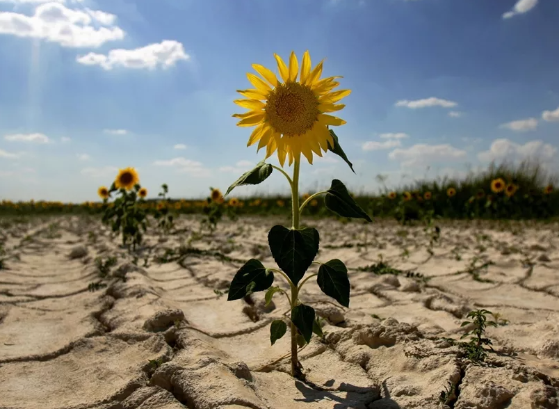 Народные приметы о погоде на каждый день