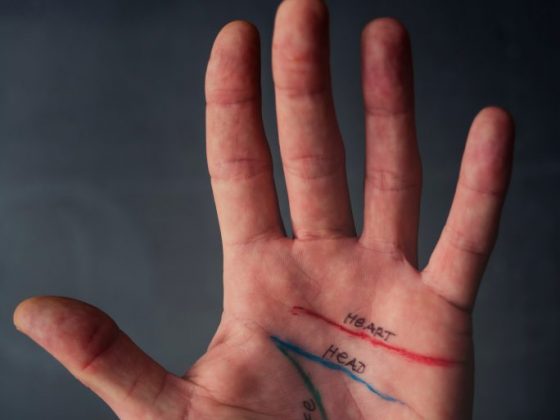 Каждая линия очень значима