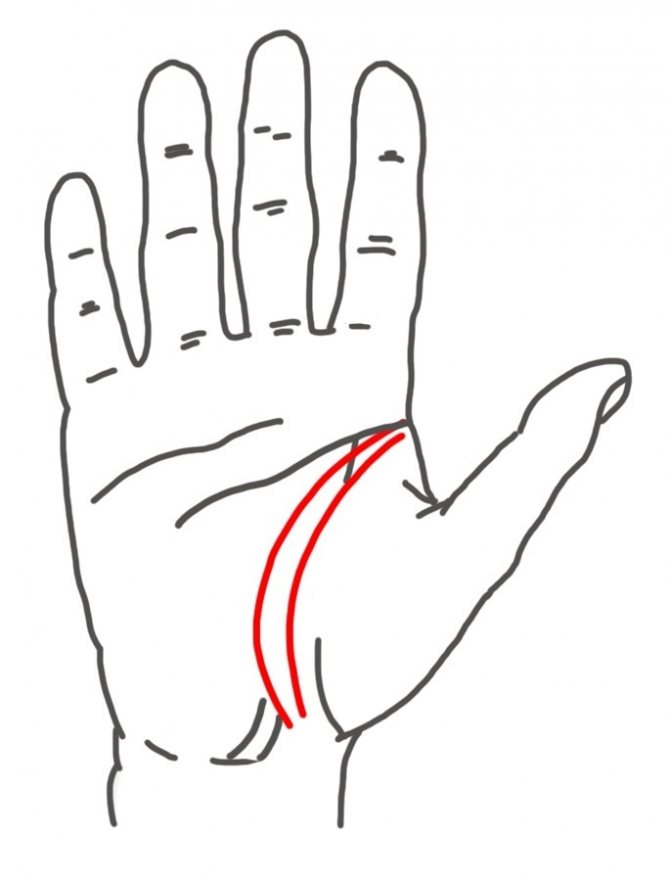 Линия ангела-хранителя параллельна линии жизни