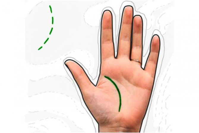 Линия жизни расположена одинаково у людей всех полов и возрастов