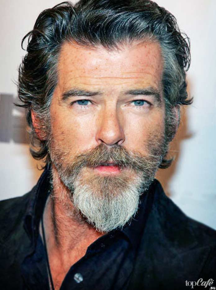 Ван Дайк — один из модных бобровых стилей