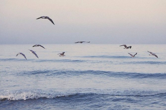 Знаки зодиака в союзе