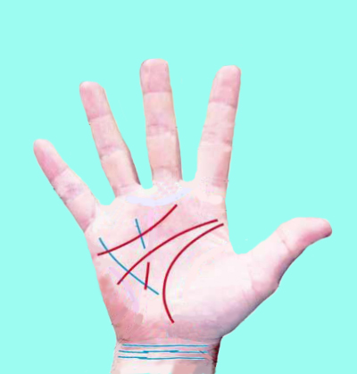 Характер по руке определяется в зависимости от строения кисти.